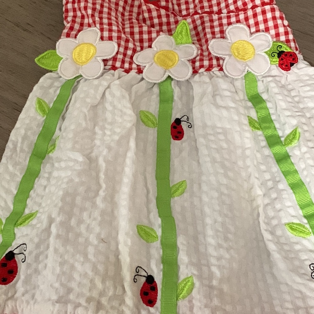 (5/$10) Ladybug halter dress 12M - Picture 2 of 5